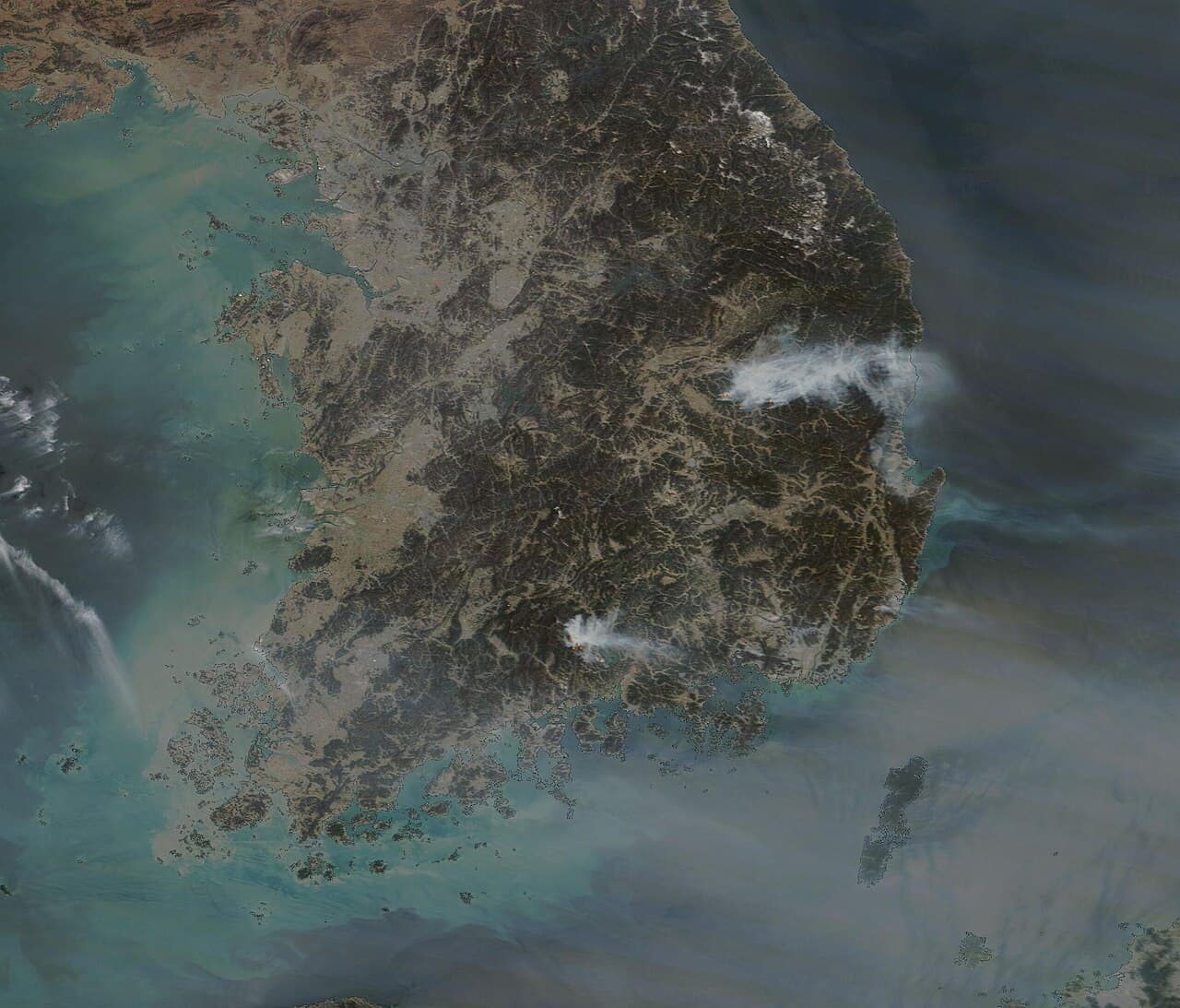 2025년 의성·안동 경북 대형 산불
