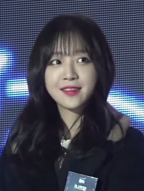 쯔양 공갈·사이버 렉카 협박 사건