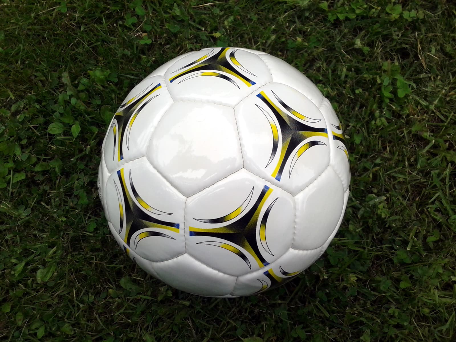 충북청주FC 반데이라 '바나나·고릴라 이모티콘' 인종차별 논란