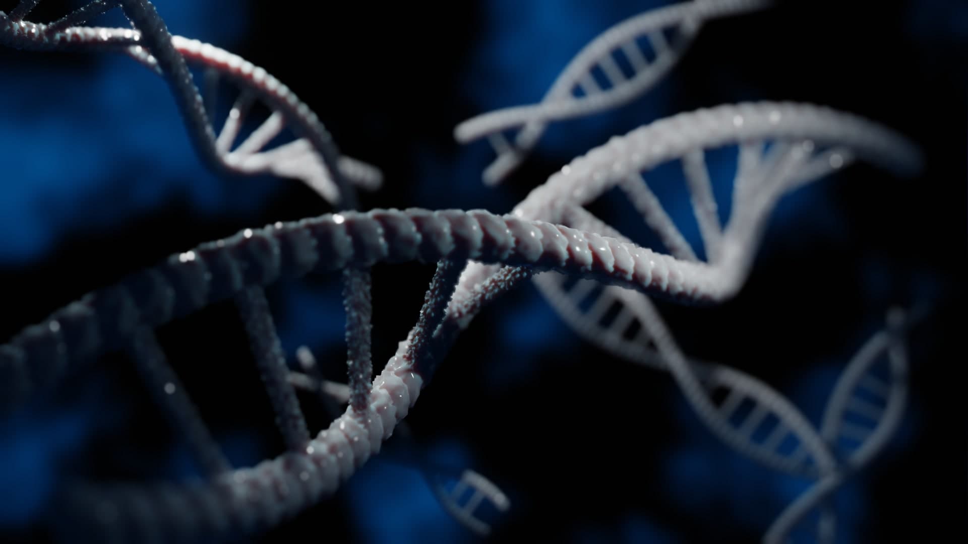 23andMe 유전자정보 해킹·파산·거액 합의금 사태