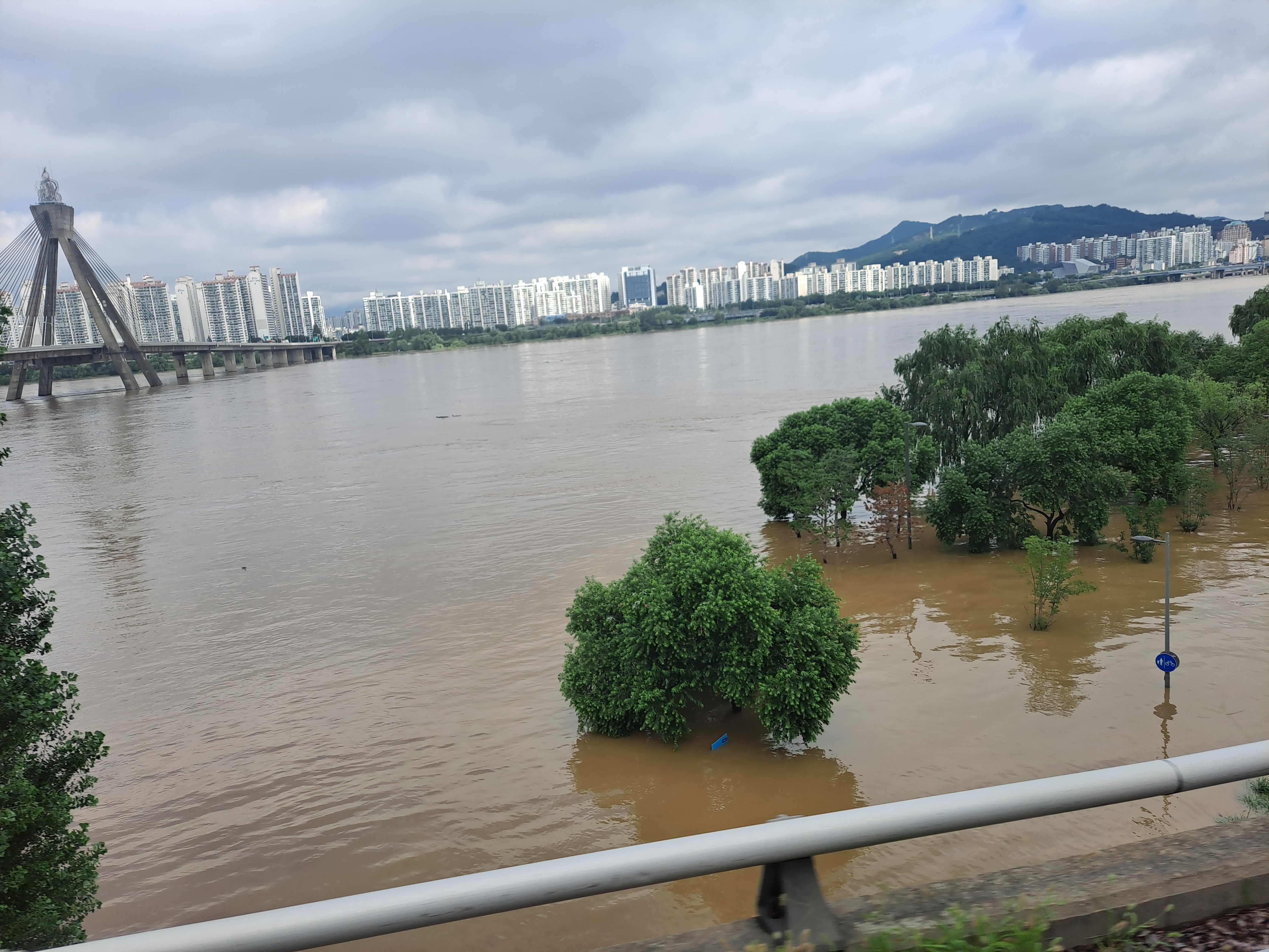 서울 신림동 반지하 침수 참사