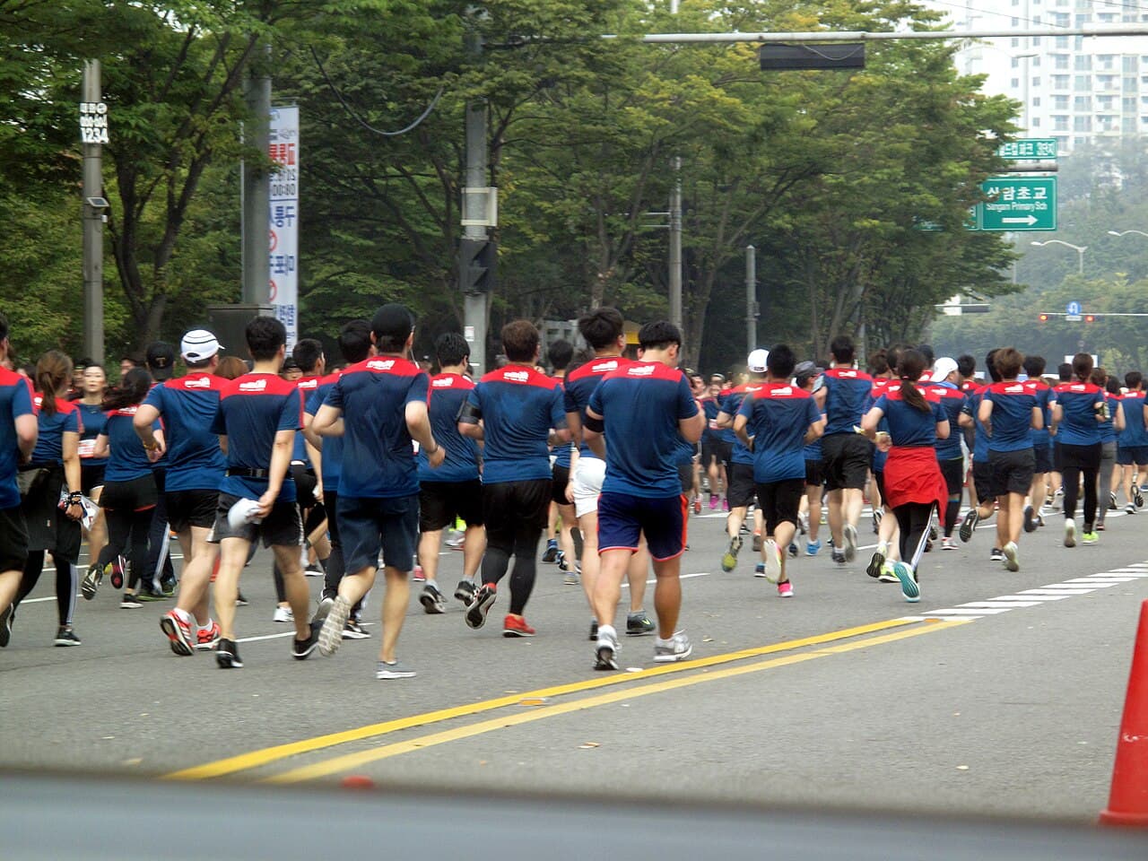 김완기 삼척시청 육상팀 감독 여자 선수 신체접촉 논란과 징계 번복