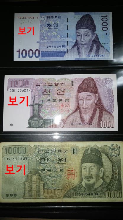 커스프그룹 유사수신 폰지사기 혐의 사건