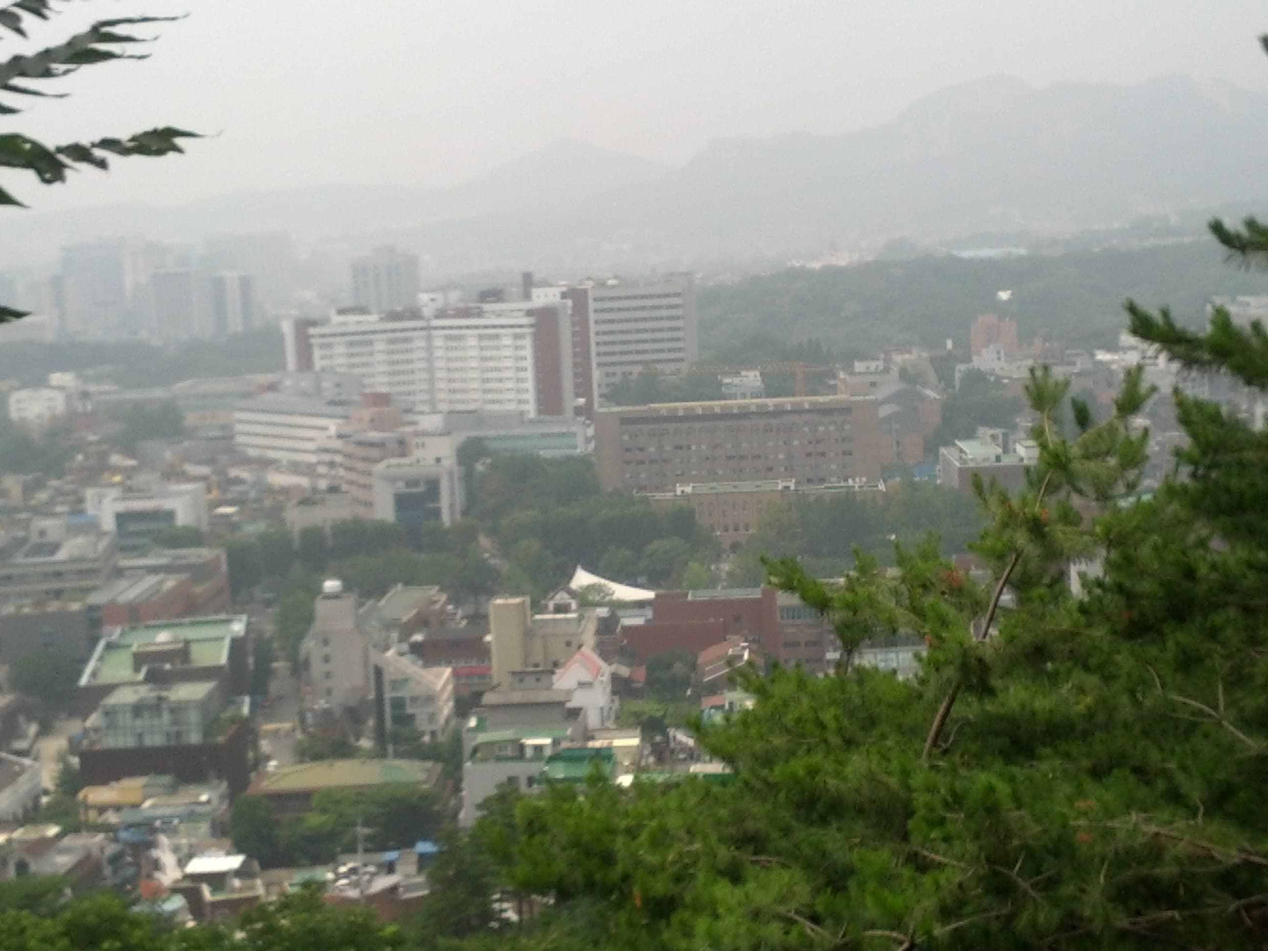 서울대 국문과 교수 제자 논문 표절 해임·복직·재해임 8년 공방