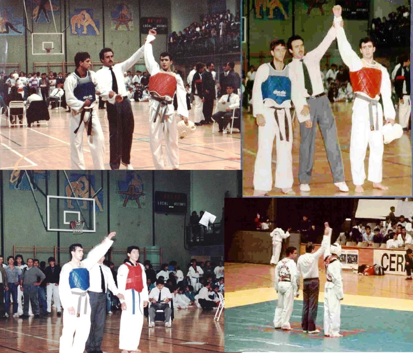 제주도태권도협회장 특별회비 횡령·인사비리 사건