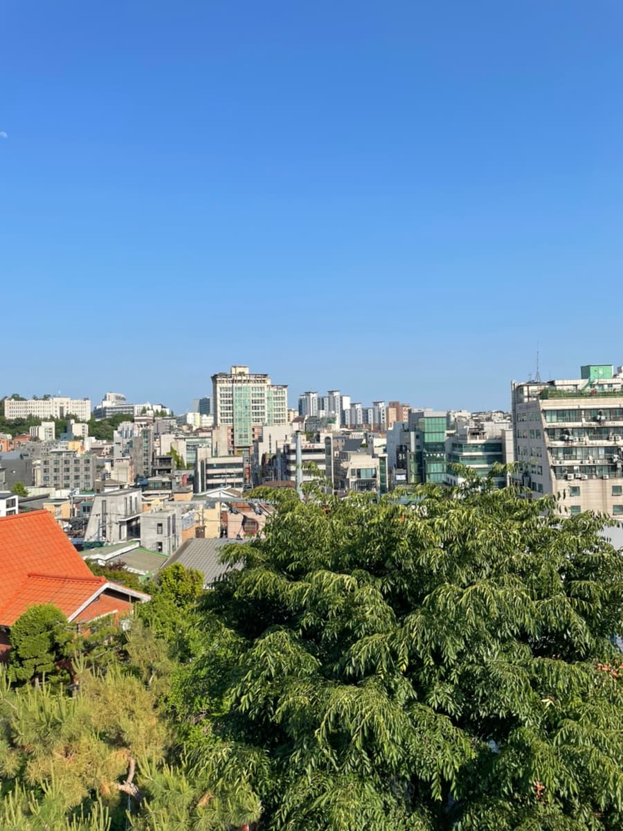 무자본 갭투자로 수도권 빌라 1027채 사들인 범죄단체, 전세보증금 699억원 편취 항소심서도 중형