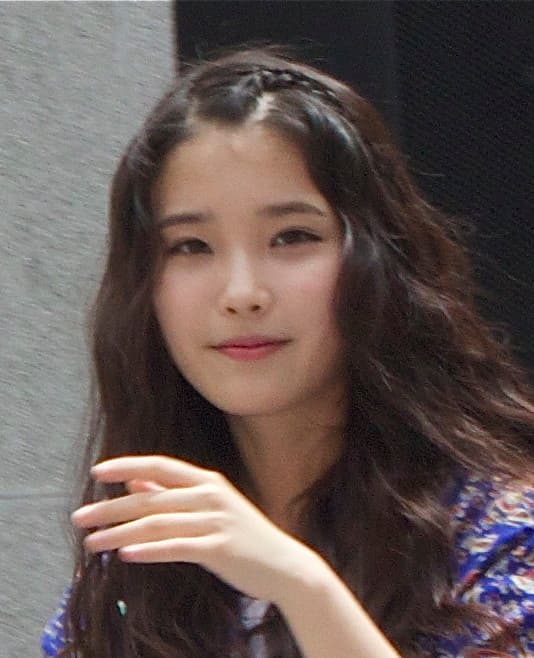 아이유 악성 루머·명예훼손 피해와 美 법원 대응