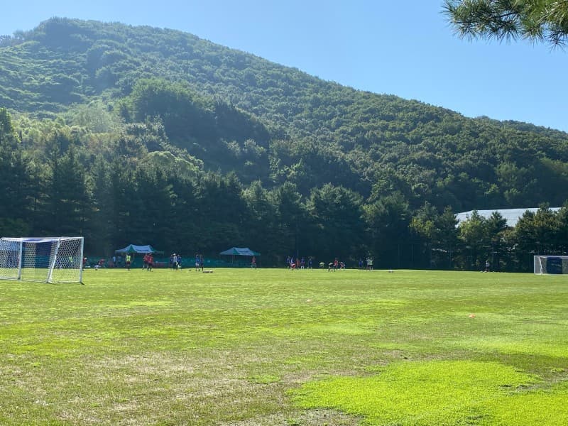 대한축구협회 P급 지도자 강습회 무자격 합격자 발급 논란